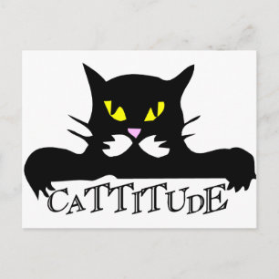 cattitude vykort