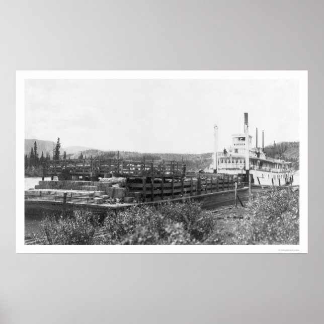 Cattle Barge Yukon River 1914 Poster (Framsidan)