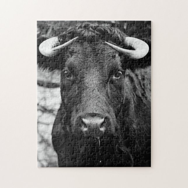 Cattle Black & White Pussel (Vertikal)