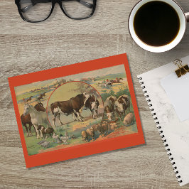 Cattle Boskap Tävling Track Ephemera Vykort