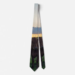 Cattle Farm Sunset Neck Tie Slips