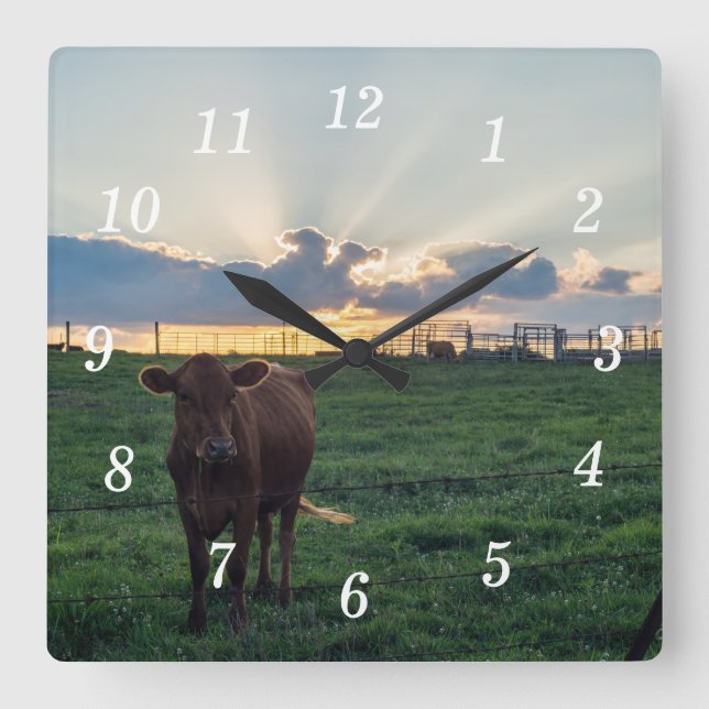 Cattle Farm Sunset Wall Clock Fyrkantig Klocka (Framsida)