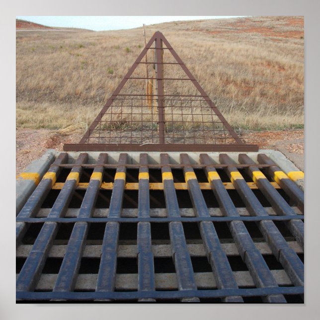 Cattle Grate on Gravel Road, Wyoming Poster (Framsidan)