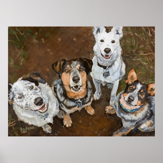 Cattledog Cattle Hundar och Heelers Brown Hued Poster (Framsidan)