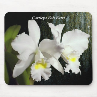 Cattleya egennamn Betts Musmatta