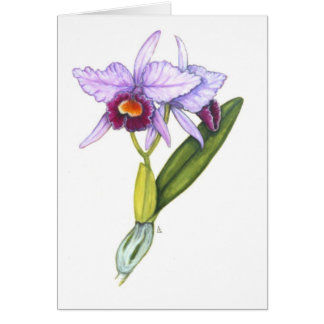 Cattleya labiata hälsningskort