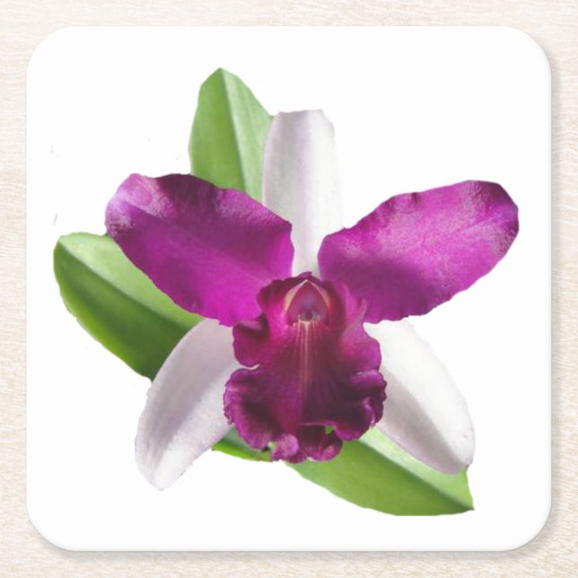 Cattleya Orchid Flower Underlägg Papper Kvadrat (Framsidan)