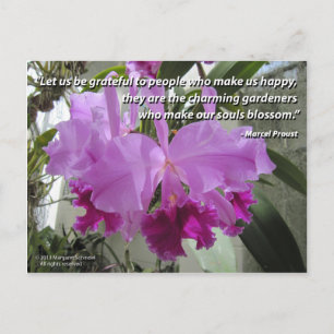 Cattleya Orchid Kärlek och Vänskap vykort