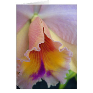 Cattleya Orchid-kort Hälsningskort