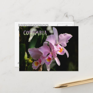 Cattleya Orchid-kort Vykort