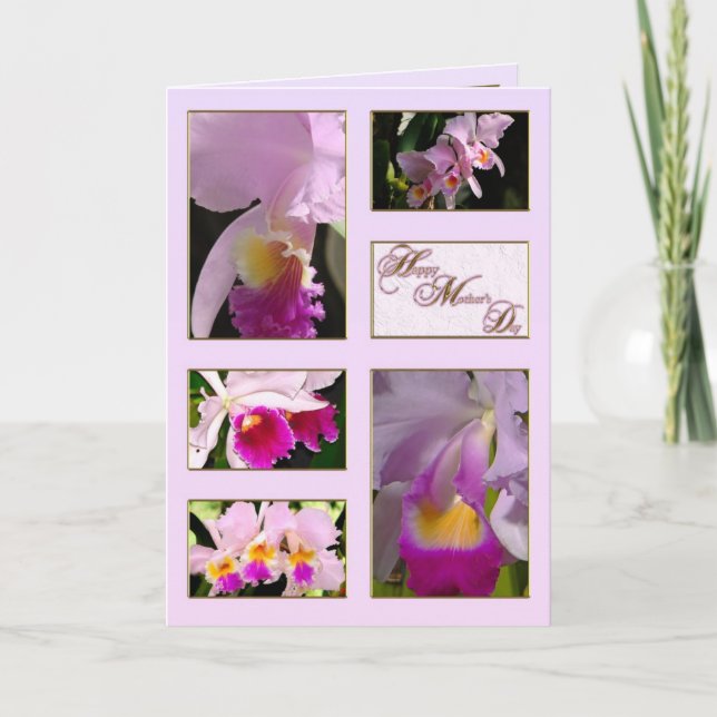 Cattleya Orchid Mors dag Greeting Card Kort (Framsida)