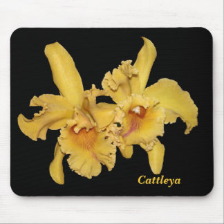 Cattleya Orchid Mousepad Musmatta