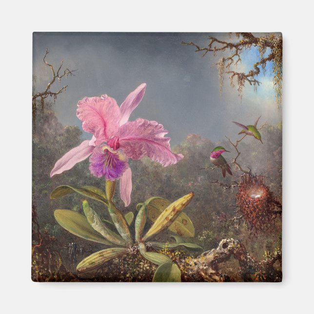 Cattleya Orchid och tre Hummingbird by Heade Magnet (Framsidan)