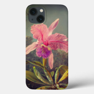 Cattleya Orchid och tre Hummingbird Heade