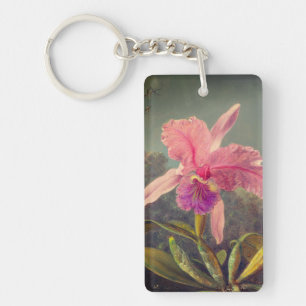 Cattleya Orchid och tre Hummingbird Heade