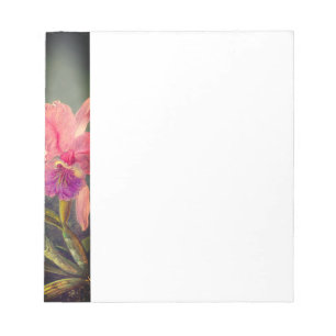 Cattleya Orchid och tre Hummingbird Heade Anteckningsblock