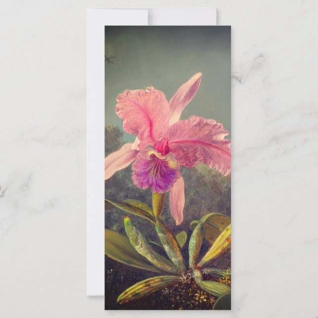 Cattleya Orchid och tre Hummingbird Heade Card (Framsida)