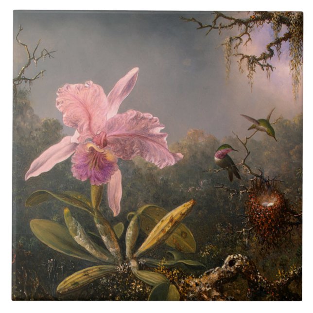 Cattleya Orchid och tre Hummingbird (Heade) Kakelplatta (Framsidan)