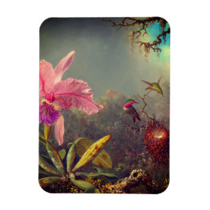 Cattleya Orchid och tre Hummingbird Heade Magnet
