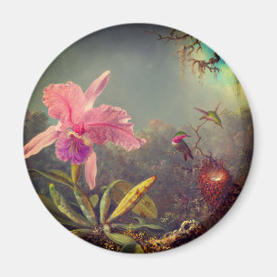 Cattleya Orchid och tre Hummingbird Heade Magnet