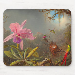 Cattleya Orchid och tre Hummingbird Heade Musmatta