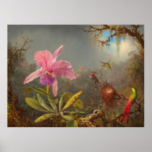 Cattleya Orchid och tre Hummingbird Heade Poster