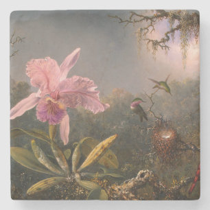 Cattleya Orchid och tre Hummingbird (Heade) Stenunderlägg