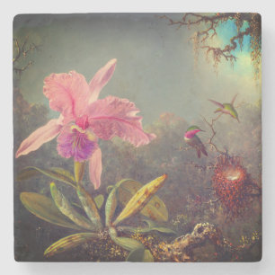Cattleya Orchid och tre Hummingbird Heade Stenunderlägg