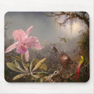 Cattleya Orchid och tre Hummingbird Musmatta