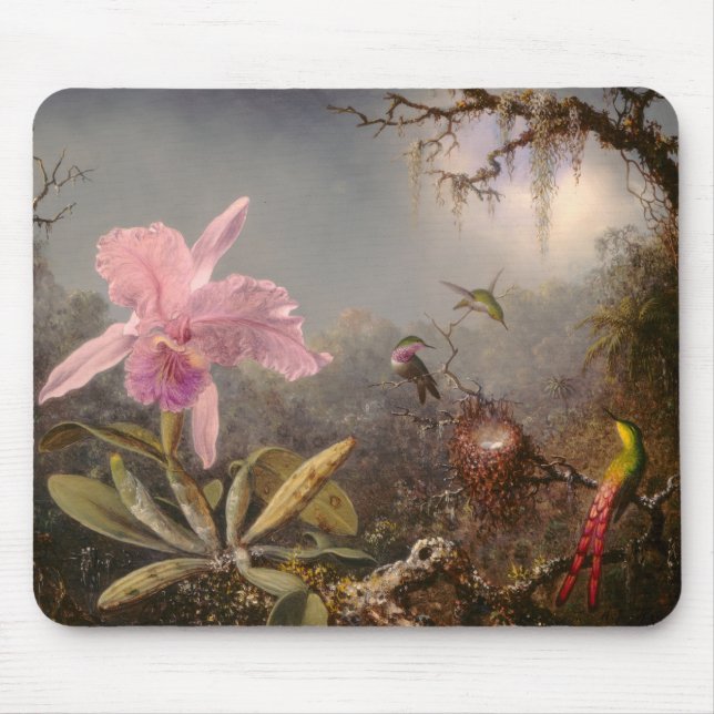 Cattleya Orchid och tre Hummingbird Musmatta (Framsidan)