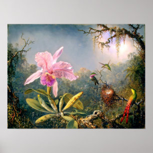 Cattleya Orchid och tre Hummingbird Poster