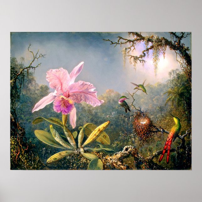 Cattleya Orchid och tre Hummingbird Poster (Framsidan)