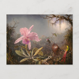 Cattleya Orchid och tre Hummingbird Vykort