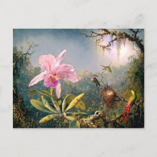 Cattleya Orchid och tre Hummingbird Vykort