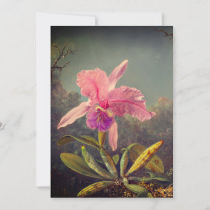Cattleya Orchid och tre kolibrier Heade Inbjudningar