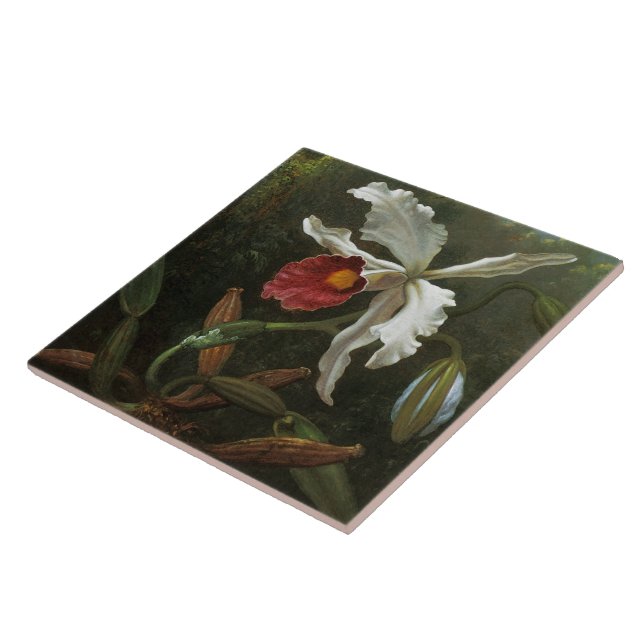 Cattleya Orchid-panel Kakelplatta (Sidan)