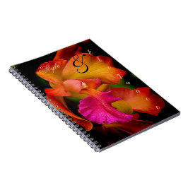 Cattleya Orchid Porträtt Anteckningsbok