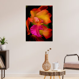 Cattleya Orchid Porträtt Poster