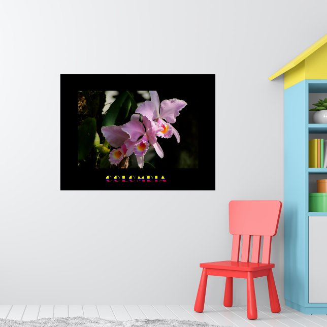 Cattleya Orchid Poster (Barnkammare 1)
