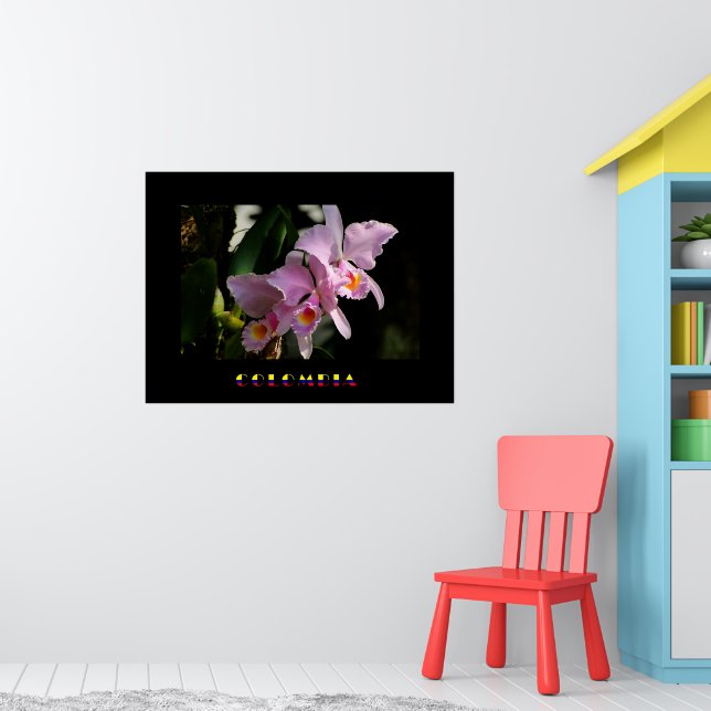 Cattleya Orchid Poster (Barnkammare 1)
