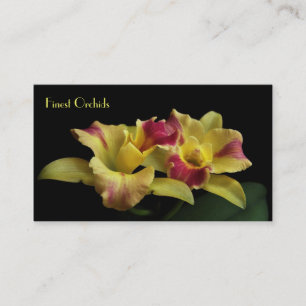 Cattleya Orchidvisitkortar Visitkort