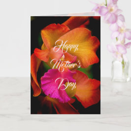 Cattleya Orkid Porträtt Mors Dag Kort
