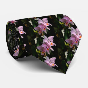 Cattleya Trianae Manar appartie Slips