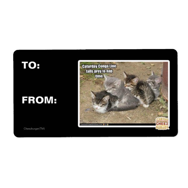 Caturday Conga Line Fraktsedel (Framsidan)