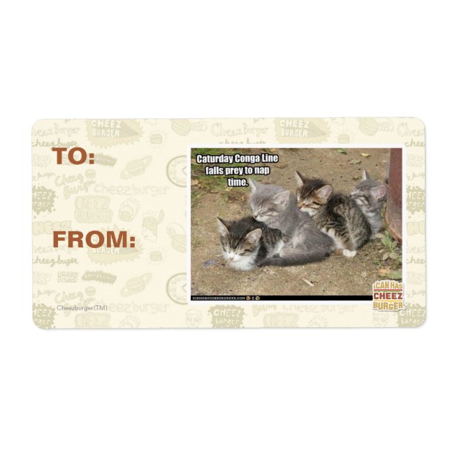 Caturday Conga Line Fraktsedel (Framsidan)