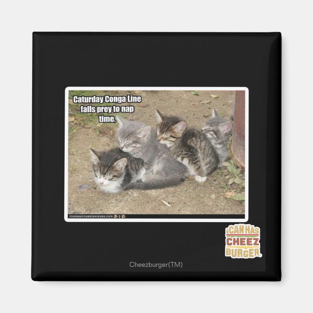 Caturday Conga Line Magnet (Framsidan)