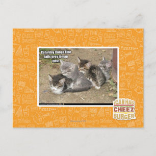 Caturday Conga Line Vykort