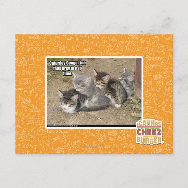 Caturday Conga Line Vykort (Framsida)