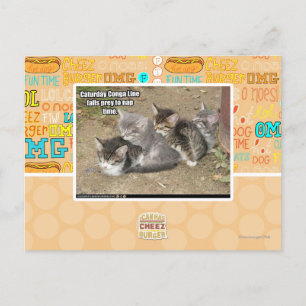 Caturday Conga Line Vykort