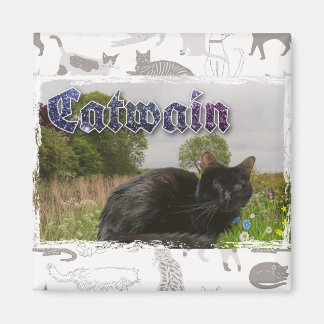 Catwain Magnet